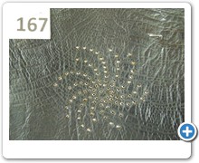 collection 2 rettili 167